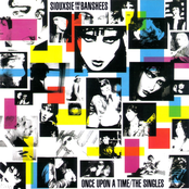 Siouxsie And The Banshees