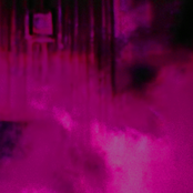 The Coral Bites Of Life Range