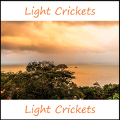 Light Crickets