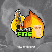 Macaques on Fire