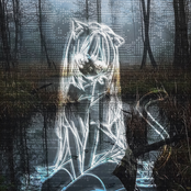 deja vu of missing fractals