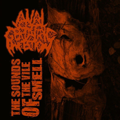 The Sounds Of The Vile Smell