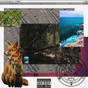 Sir Michael Rocks: Banco
