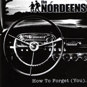 Nothing Left To Bruise by The Nordeens