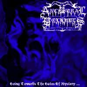 Going Towards The Gates Of Mystery