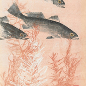 Kaiyo