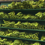 TRICAMPEAO (freeverse) #sublime_era