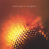 Beth Wood: Marigolds