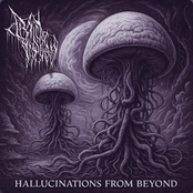 Hallucinations From Beyond