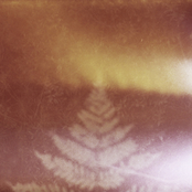 Teni kostrov v ryad - Kostry govoryat