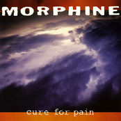 Cure for Pain Album Picture