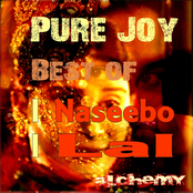 Naseebo Lal: Pure Joy, Vol. 2 (Best Of)