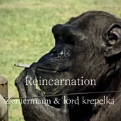 Reincarnation