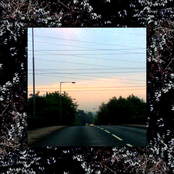 Natural Selections: Strings To Pull