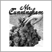 Mr. Cunningham