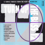 Turn up the bass - volume 12