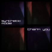 Synthetic Model