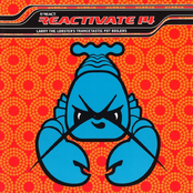 Reactivate 14 disc 2