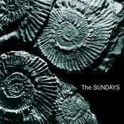 The Sundays - Reading, Writing and Arithmetic Artwork