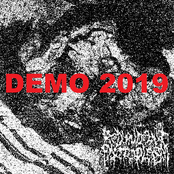 DEMO 2019