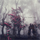 The Summer Will Never Come To Me