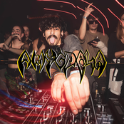 Amygdala: Zapatillas