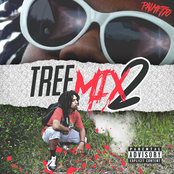 TreeMix 2
