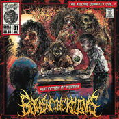 The Killing Quartet Vol. 1 - Reflection of Murder