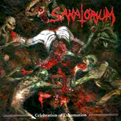 Fetus Rape by Sanatorium