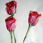 Sergey Elixir - Beginning