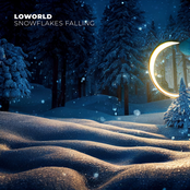 Snowflakes Falling