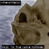 Bugs In The Spice Cabinet