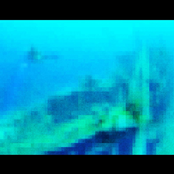 biome (helica + aidanswank)