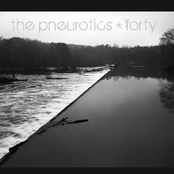 Pebble Fall by The Pneurotics