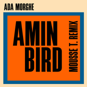 Amin Bird (Mousse T. Remix)