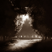 The Glade