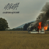 I da nađem izlaz, ne bih ti ga pokazao.