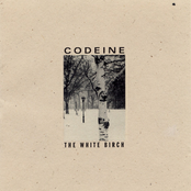 Loss Leader by Codeine
