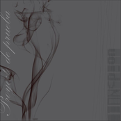 Proyecto de Prueba & Void > Null