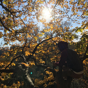 The Sky Is the Limit