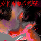 Your Moms Revenge