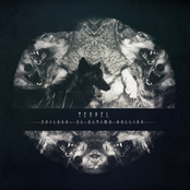 Epílogo - El último aullido