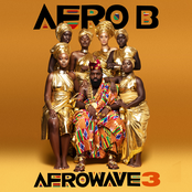 Afro B: Afrowave 3
