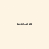 Suck It And See by Arctic Monkeys