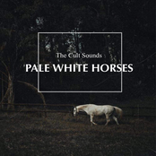 Pale White Horses