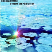 Beneath the Polar Ocean