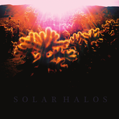 Frost by Solar Halos