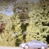 Dogs on Shady Lane: Cole St.