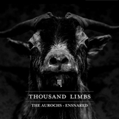 The Aurochs - Ensnared