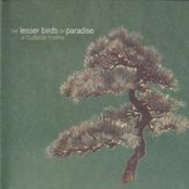 Noise by The Lesser Birds Of Paradise
